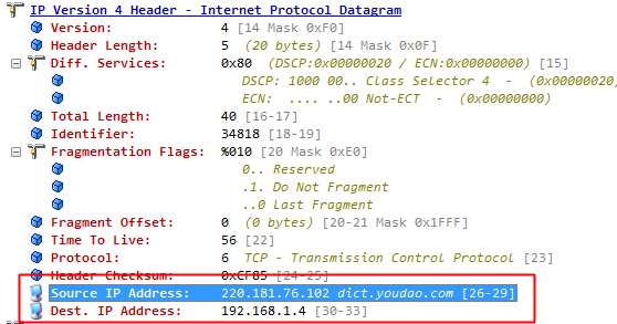 IP协议数据包头信息