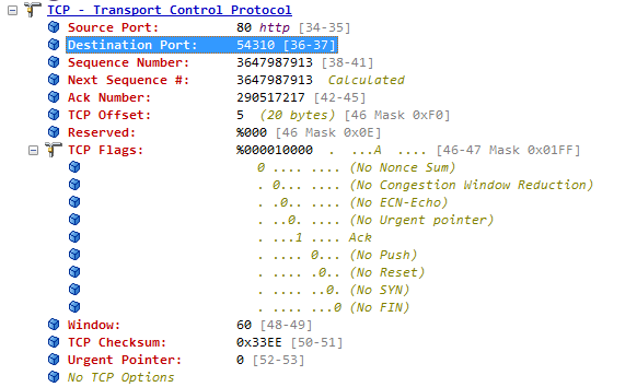 TCP-UDP协议数据报头信息