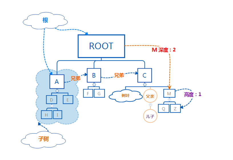 树的基本组成结构解析