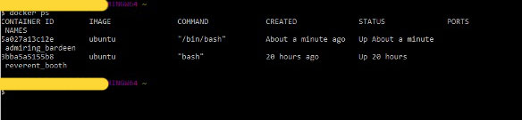 docker列出所有容器