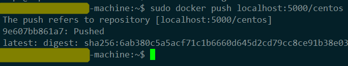 将镜像推入本地私有仓库