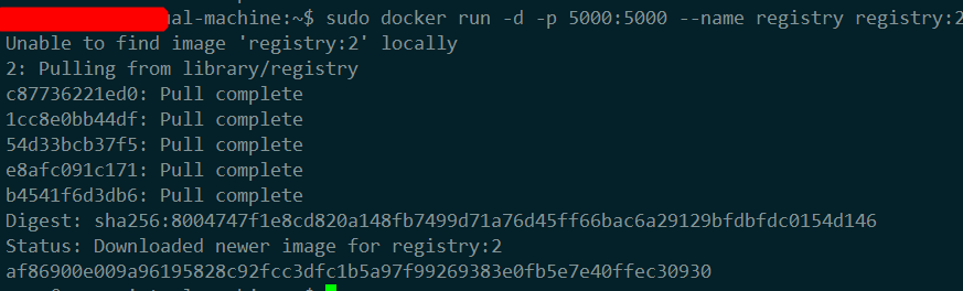 下载并运行私有registry
