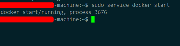 sudo service docker start