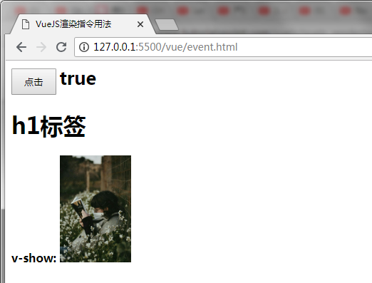 v-show用法实例