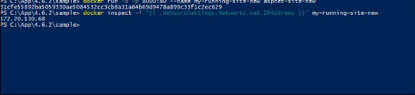 IIS在Docker容器中运行