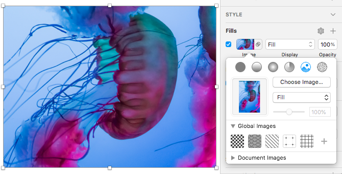 用图像填充一个矩形