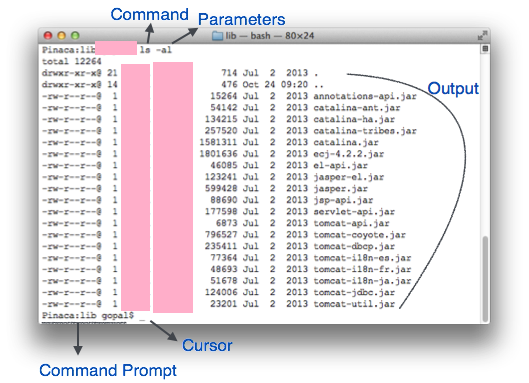 命令行接口(CLI)