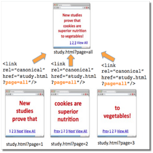 SEO Canonical标签3