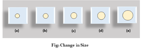 计算机图形：动画