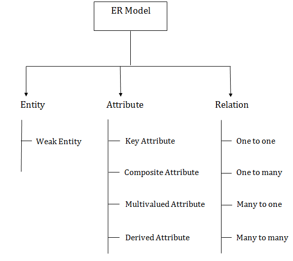 DBMS ER模型概念