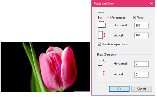 每英寸的像素、点和线