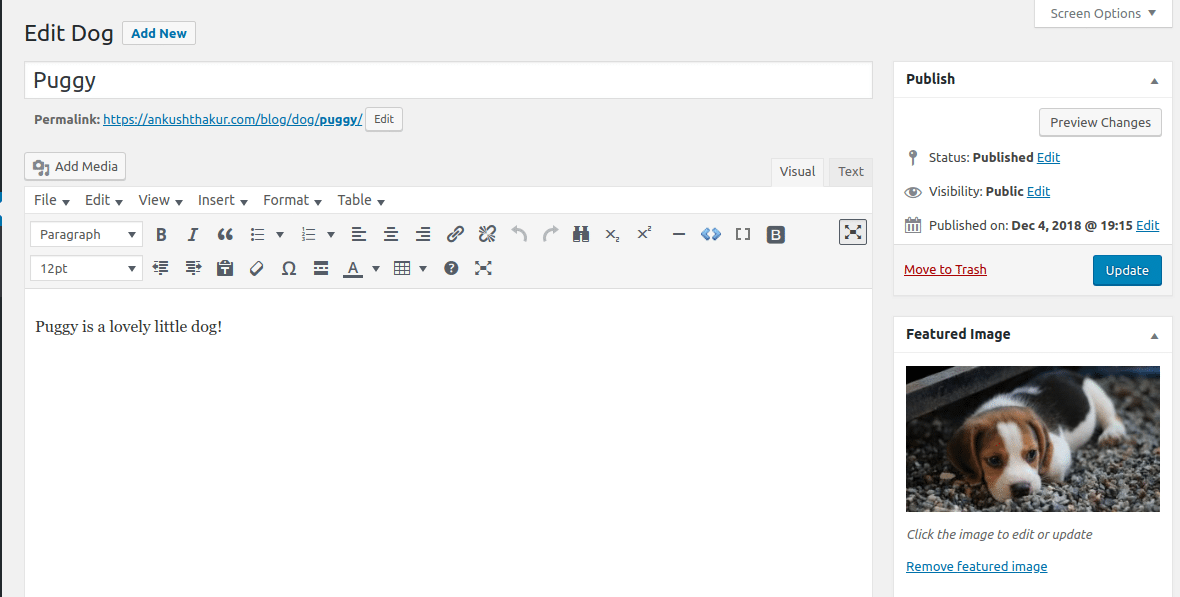 使用自定义帖子类型升级你的WordPress游戏8