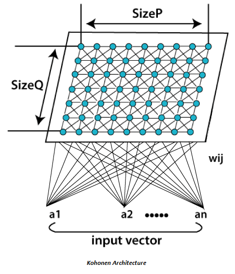 Kohonen自组织特征图