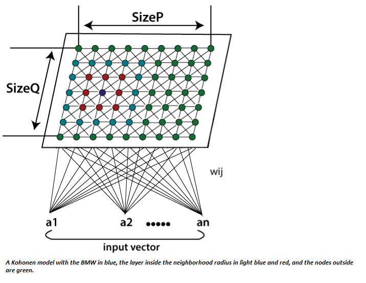 Kohonen自组织特征图