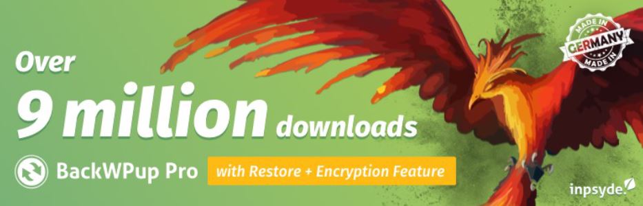 十大WordPress备份和迁移插件12