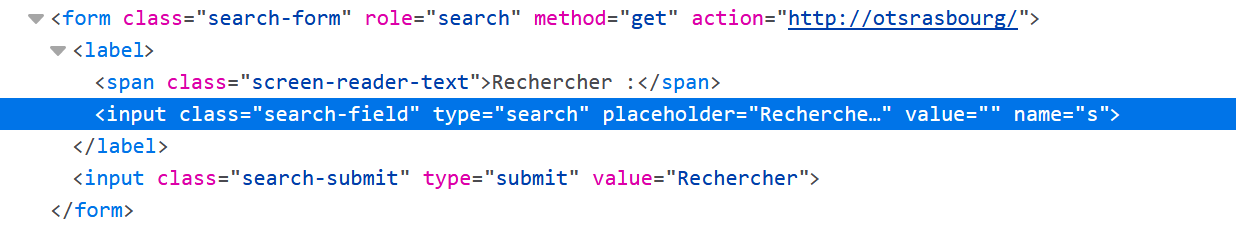 WordPress标签文字为空