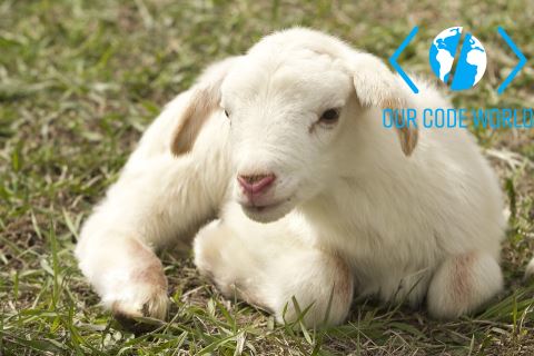 右上角水印Imagick