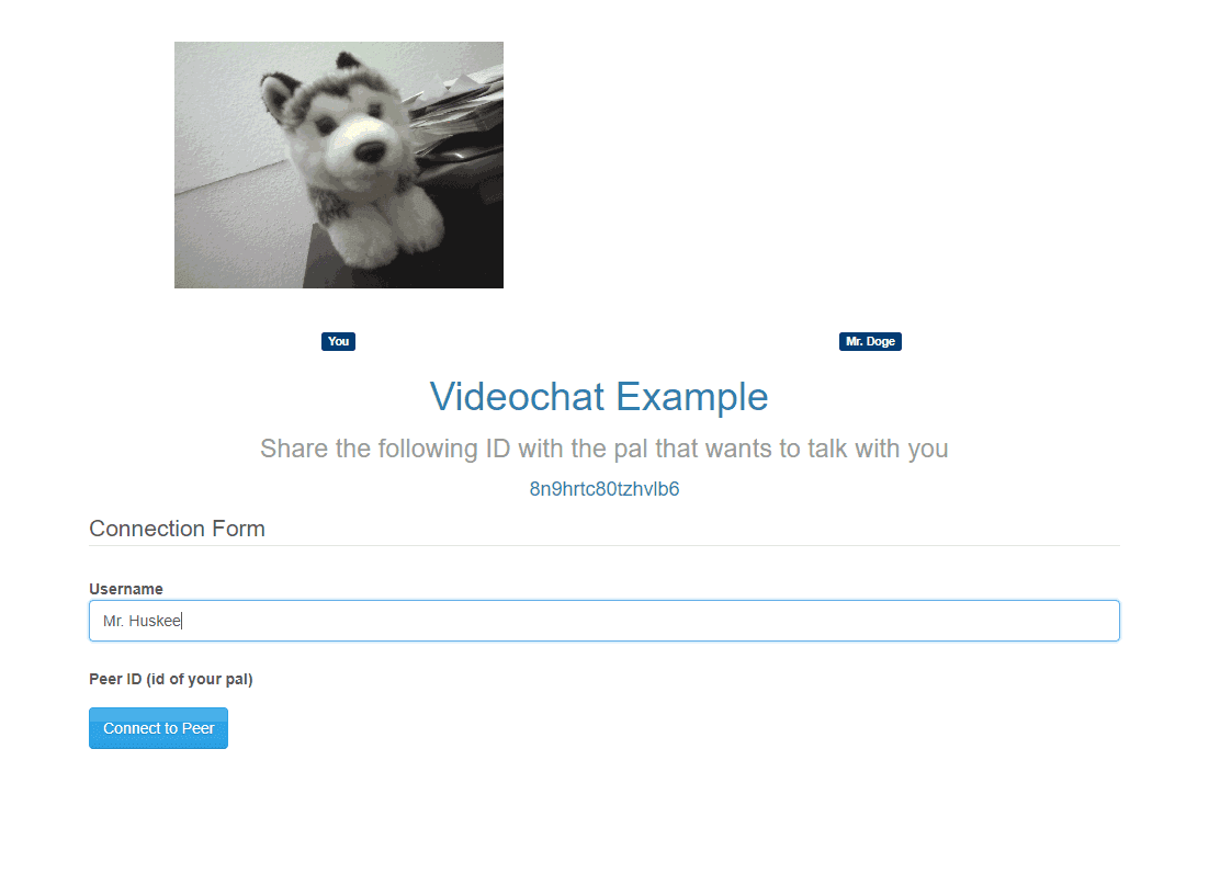 Videochat WebRTC PeerJS登录