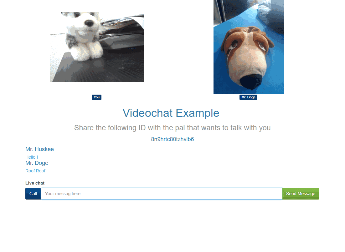 Videochat WebRTC PeerJS Node.js