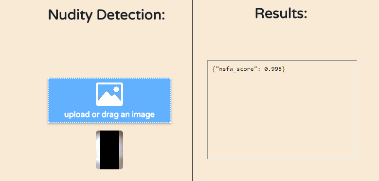 Deepai裸体探测器
