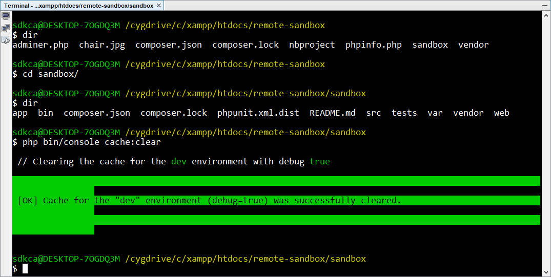 Netbeans终端演示
