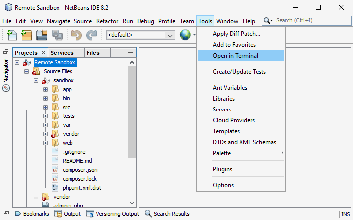 NetBeans开放终端