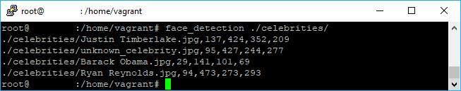 图像Python上的人脸检测