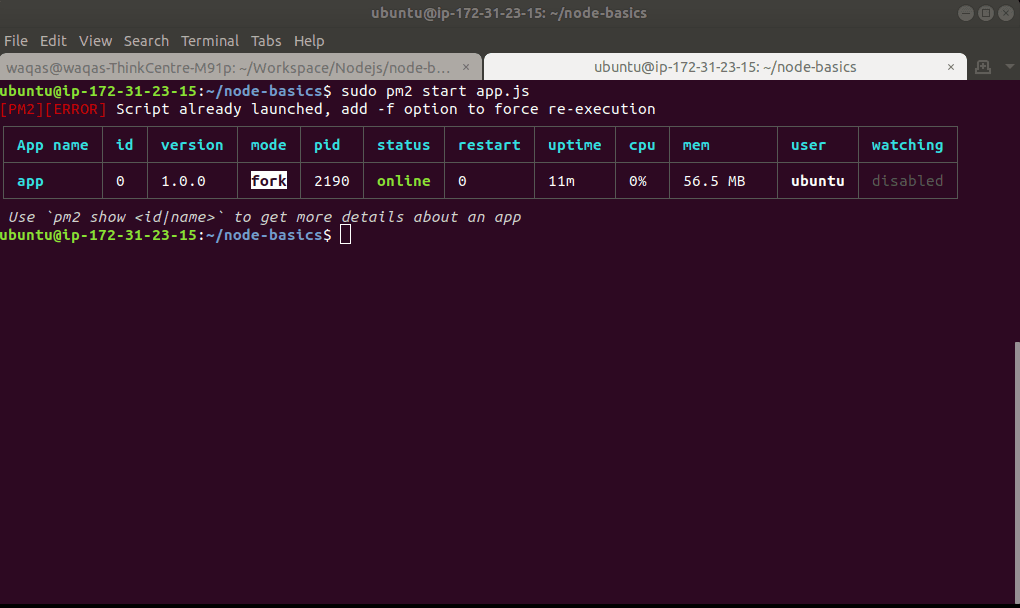 运行PM2 Node.js应用程序
