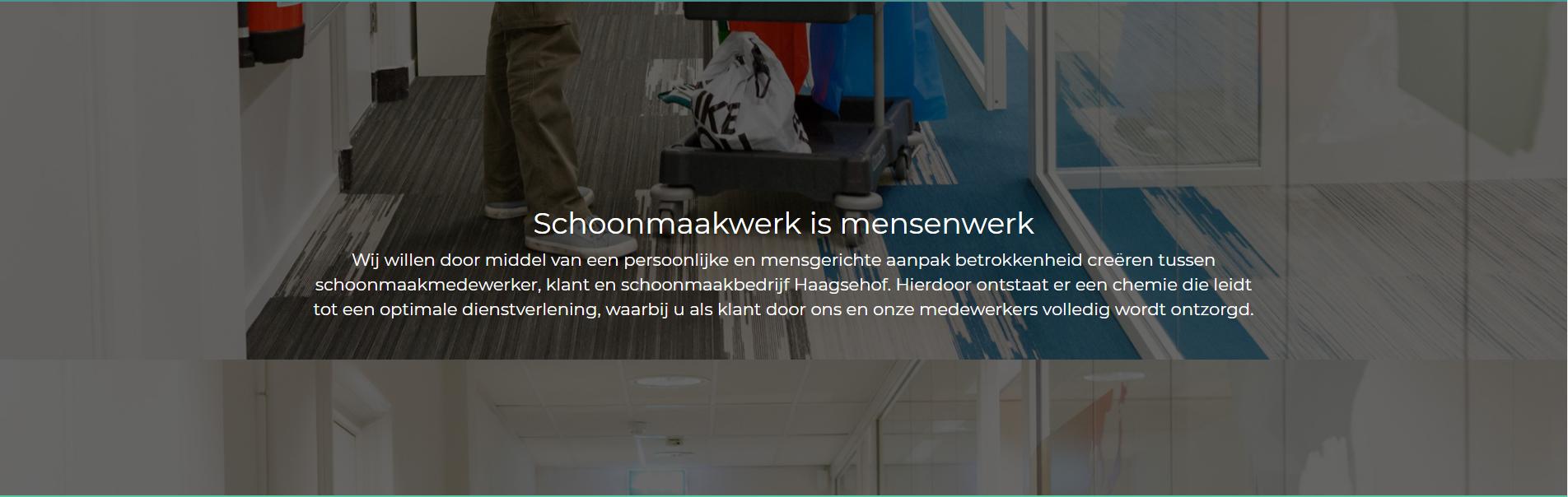 在此处输入图片说明