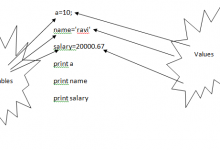 Python变量使用详解-srcmini