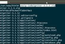 如何在Ubuntu中安装CodeIgniter-srcmini
