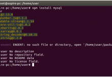 Node.Js使用MySQL创建连接-srcmini