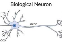 R中的神经网络模型-srcmini