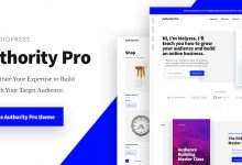 11个创建独特WordPress网站的最佳多用途主题-srcmini