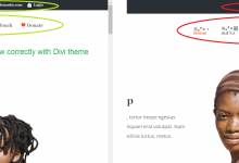 图标在Divi子主题中无法正确显示-srcmini