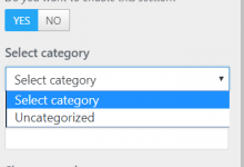 WordPress主题自定义中的类别/图像滑块不显示-srcmini