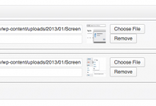 同时添加自定义图像字段和其他字段-srcmini