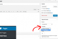如何在Wordpress的不同页面上使用一个模板？-srcmini