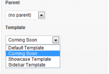 无法将自定义页面模板添加到我的子主题-srcmini