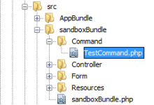 如何在Symfony 3中创建和执行自定义控制台命令-srcmini