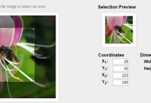 7个最佳图像裁剪Javascript和jQuery插件-srcmini