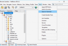 如何在Windows的NetBeans中配置集成终端(命令提示符)-srcmini
