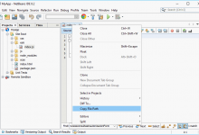 如何在NetBeans中轻松地将文件路径和目录路径复制到剪贴板-srcmini