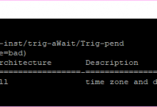 如何解决Ubuntu 16.04中的Plesk安装/升级错误：系统中没有/etc/localtime文件-srcmini