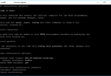 如何安装和使用Exa，这是Ubuntu 16.04中ls命令的现代替代品-srcmini