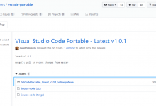 如何使用Visual Studio Code的便携式版本-srcmini
