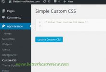 如何从此WordPress主题中删除要点？谢谢-srcmini