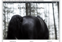 WP自适应背景缩略图-srcmini