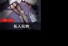 某推网红私人玩物绝美黑丝集锦-srcmini