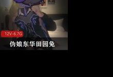 精品推荐某推国产CD系列红人伪娘东华田园兔-srcmini